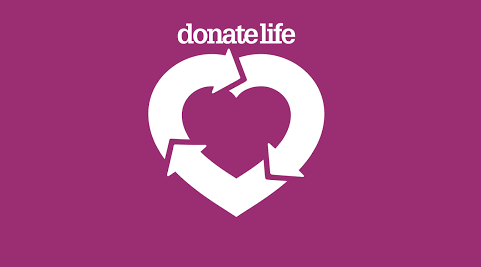Organ donation registrations rise 